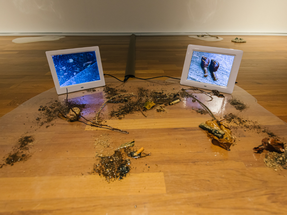 Installation view of 'Passage Moist Beings' 